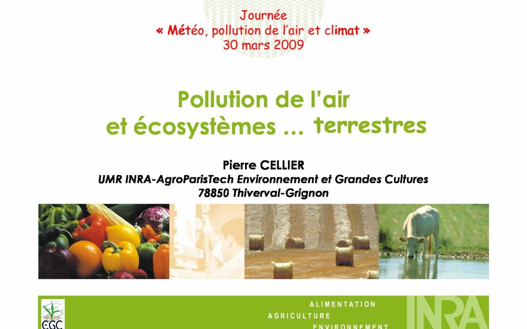 JS2009_CELLIER