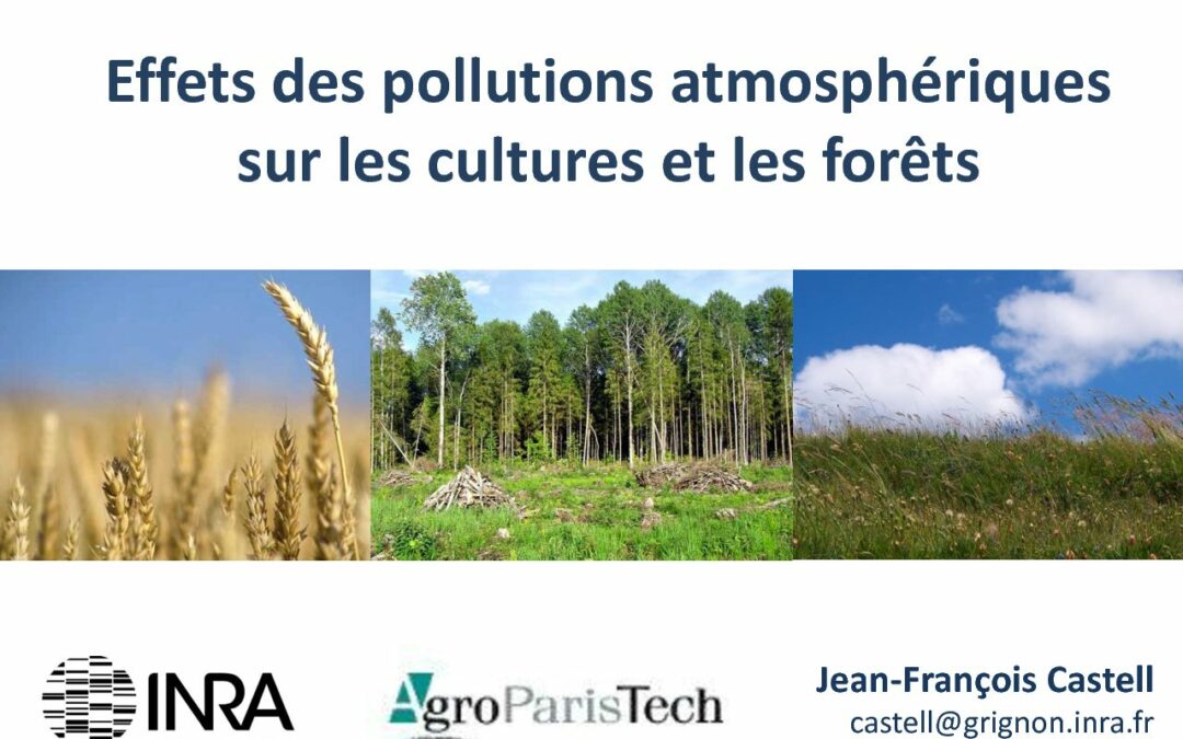 JS2014_Jean-Francois-Castell