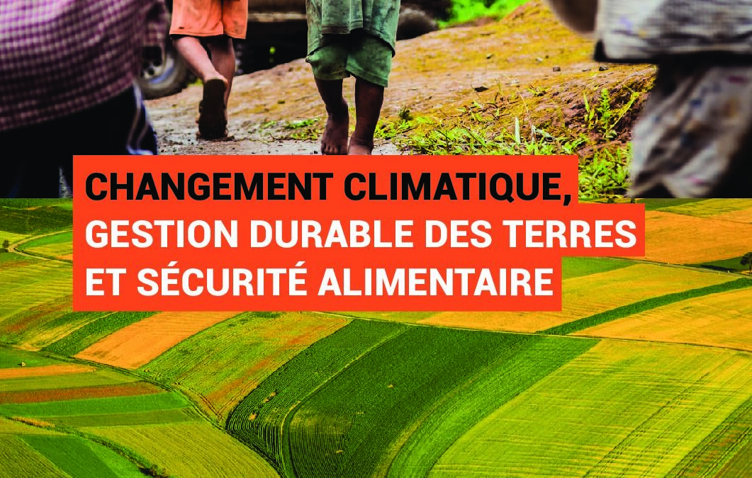 JS 2019 Dossier des participants