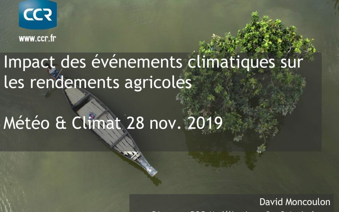 JS2019_David Moncoulon