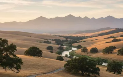 Une démonstration de l’accélération considérable du nombre de jours avec des températures dépassant 30 et 35°