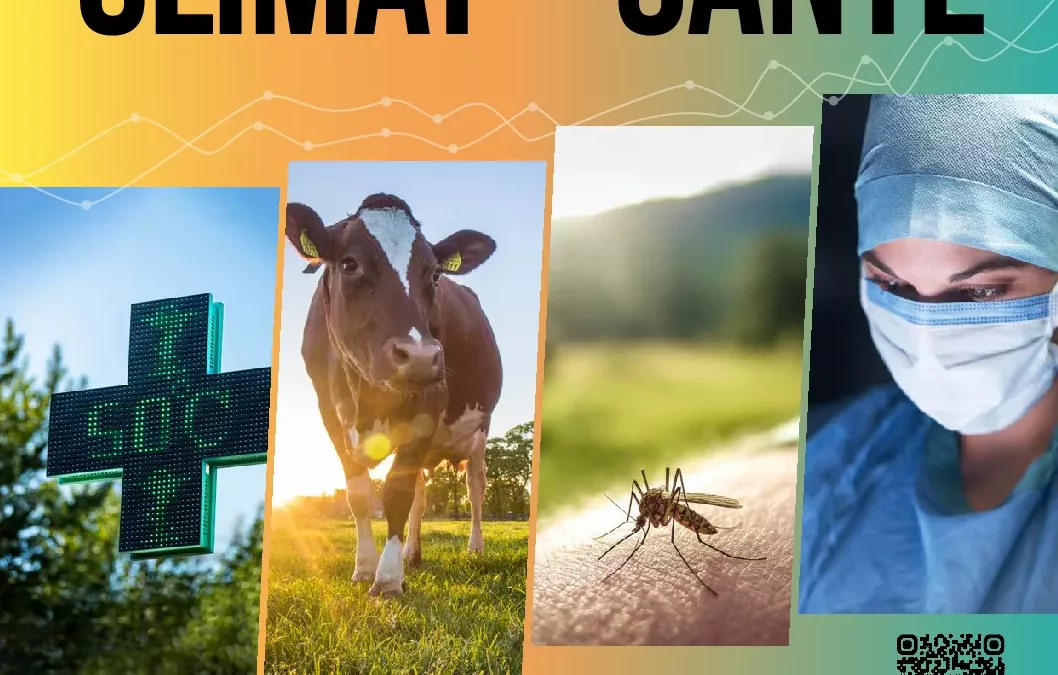 25_MC_DP_JS_version_WEB